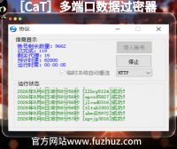 [CaT]多端口数据过密器